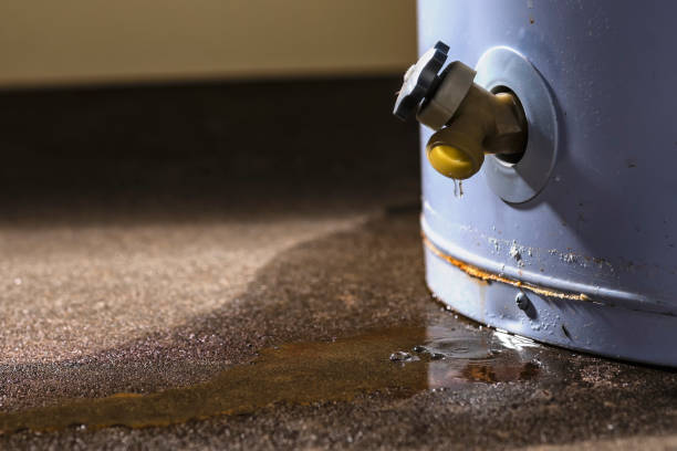 Best Flooded house restoration  in Bunker Hl, IL
