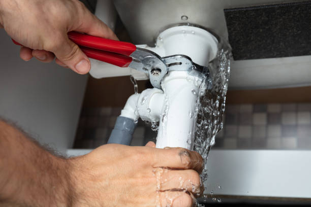 Best Mold removal after water damage  in Bunker Hl, IL