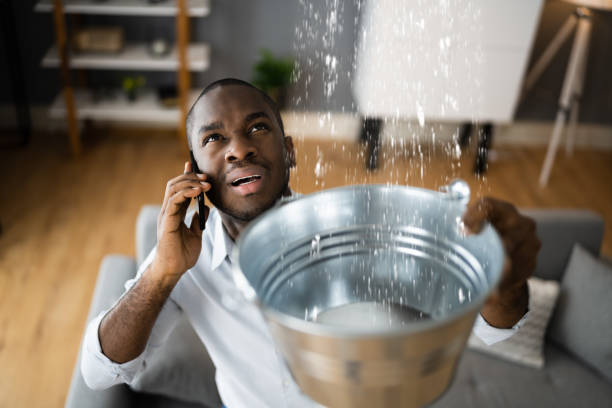 Carpet water damage restoration in Bunker Hill, IL