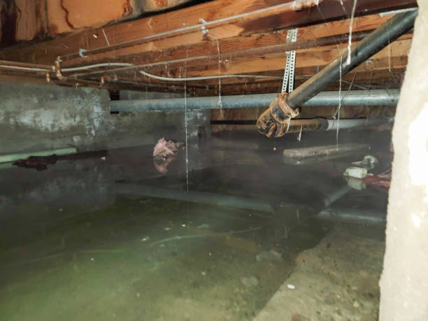 Best Emergency water damage restoration  in Bunker Hl, IL