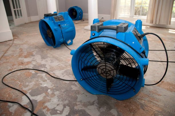 Best Water damage restoration insurance claims  in Bunker Hl, IL