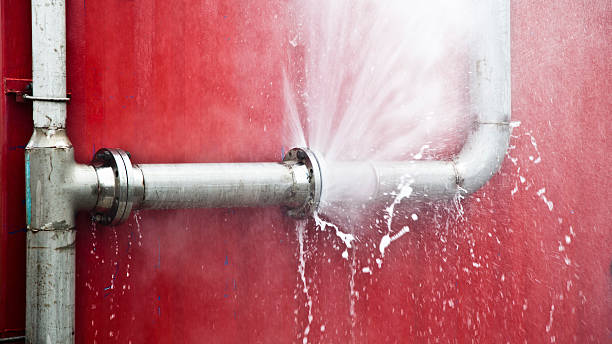  Bunker Hl, IL Water damage restoration Pros